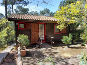 Chalet dans la pinède entre lac et océan